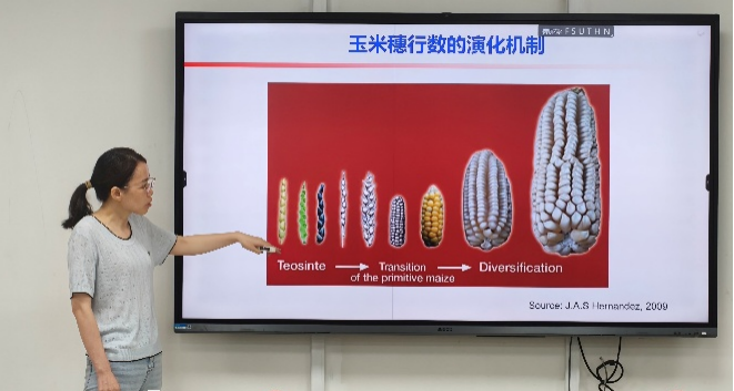 图片7.png 图片7.png