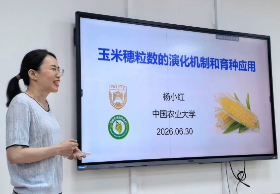 图片6.png 图片6.png